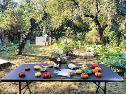 Ogród Społeczny Sad Rusałek